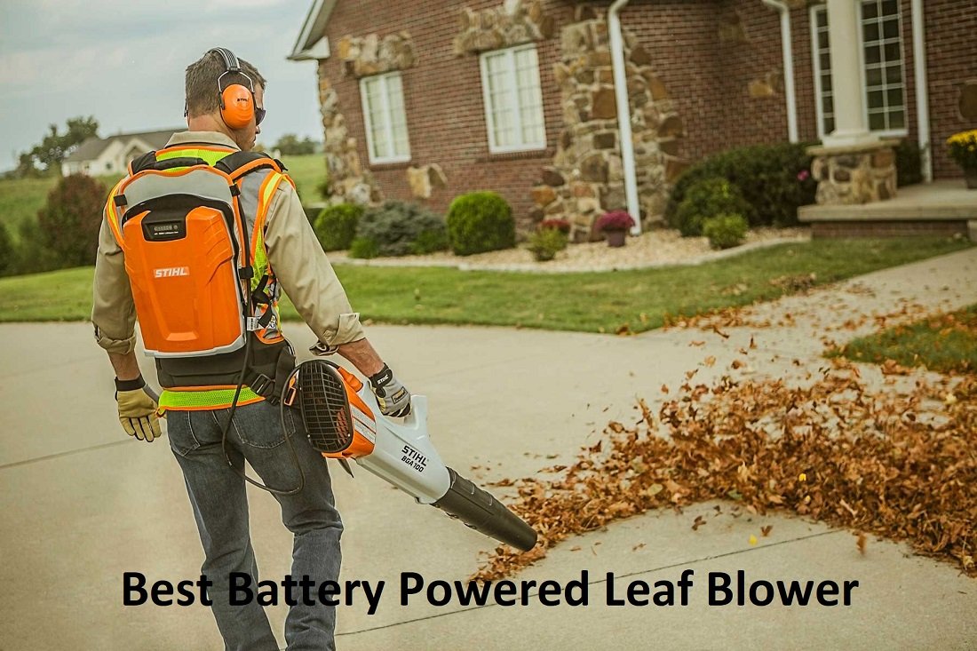 Best Battery Powered Leaf Blower Reviews and Buying Guides