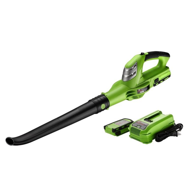 the best cordless leaf blower