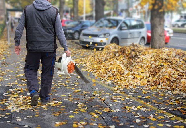 the wirecutter leaf blower